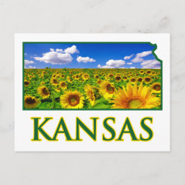 Cartão Postal Kansas Sunflower Sky