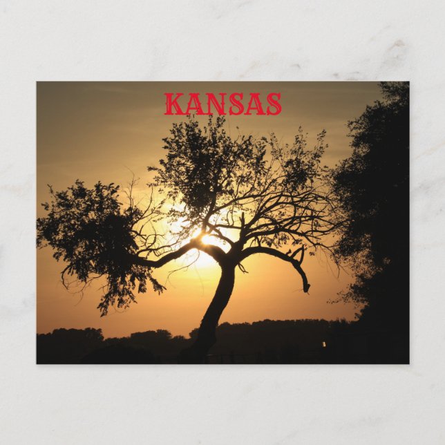 Cartão Postal Kansas Sunset com placa de Posto de árvore (Frente)
