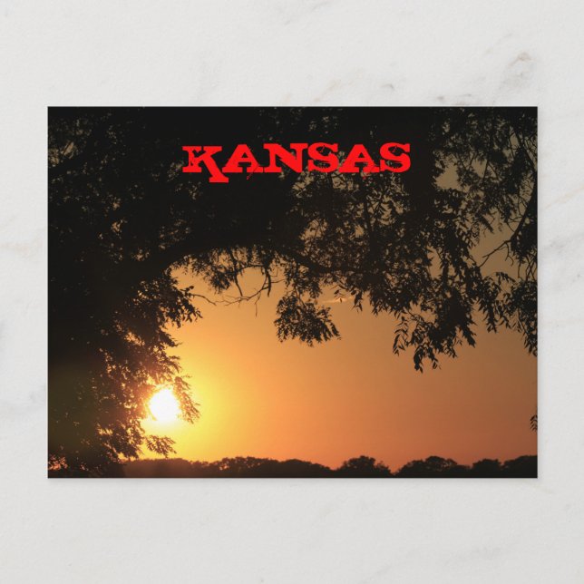 Cartão Postal Kansas Sunset com placa de Posto Silhouette de Árv (Frente)