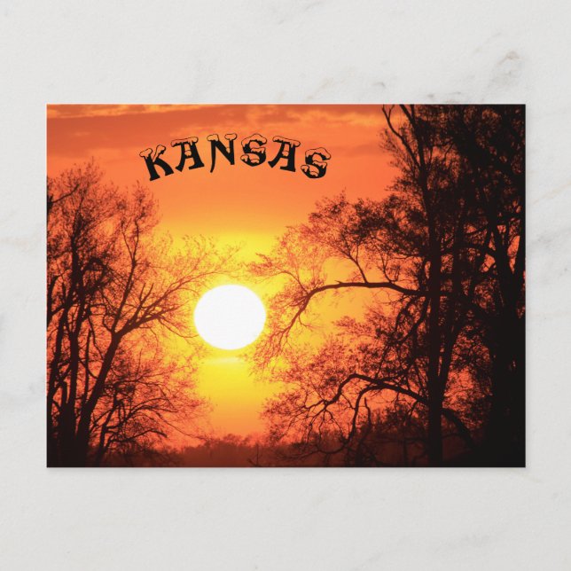 Cartão Postal Kansas Sunset com placa de Posto Silhouette de Árv (Frente)