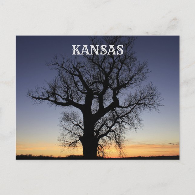 Cartão Postal Kansas Tree Silhouette (Frente)