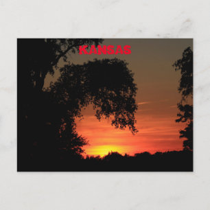 Cartão Postal Kansas Tree Silhouette Sunset