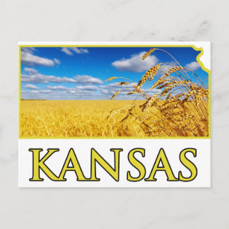Cartão Postal Kansas Wheat Field