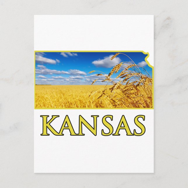 Cartão Postal Kansas Wheat Field (Frente)