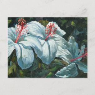 Cartão Postal Kao Kao 6