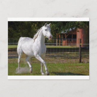 Cartão Postal Katie Running