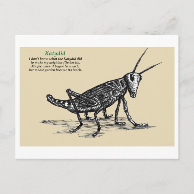 Cartão Postal Katydid  (Frente)