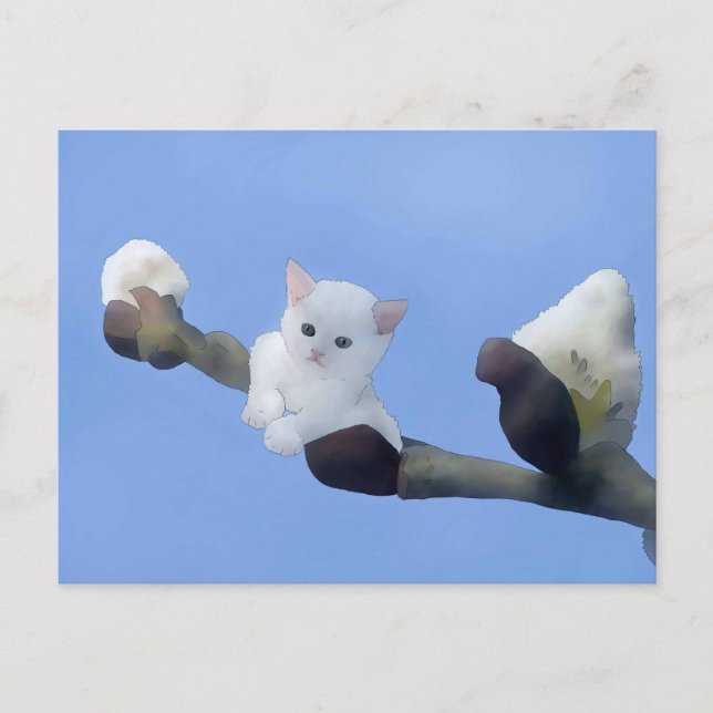 Cartão Postal Kätzchenfrühling (Frente)