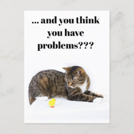 Cartão postal Katze schaut "Küken" e um Humor schw