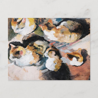 Cartão Postal Katzenstudien (Estudo de um Gato), de August Macke