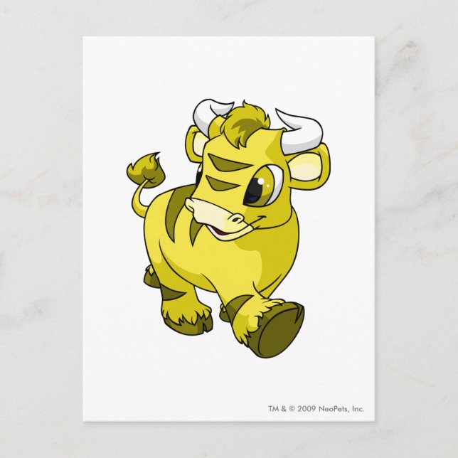 Cartão Postal Kau Amarelo (Frente)
