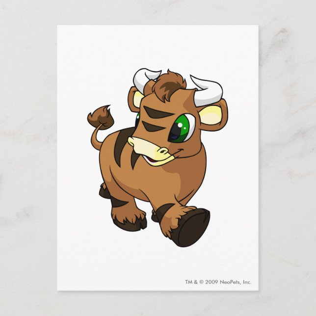 Cartão Postal Kau Brown (Frente)