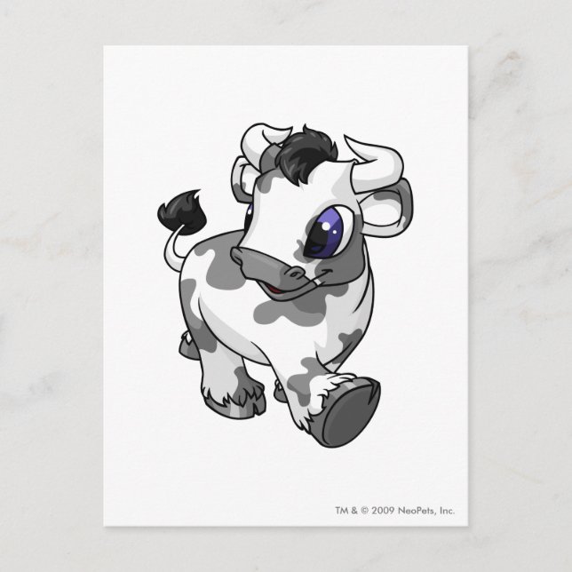 Cartão Postal Kau manchados (Frente)