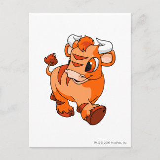 Cartão Postal Kau Orange