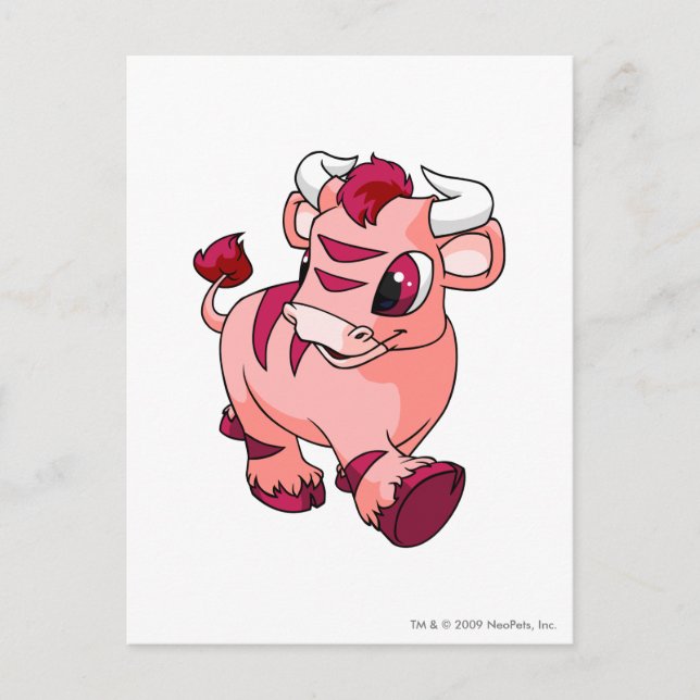 Cartão Postal Kau Pink (Frente)