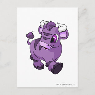 Cartão Postal Kau Purple