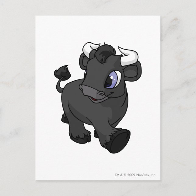 Cartão Postal Kau Shadow (Frente)