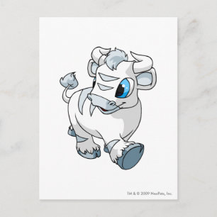 Cartão Postal Kau White