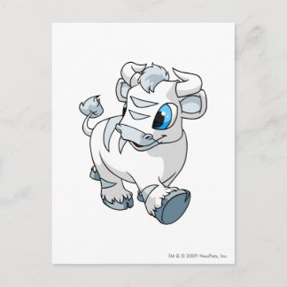 Cartão Postal Kau White