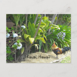 Cartão Postal Kauai, Havaí