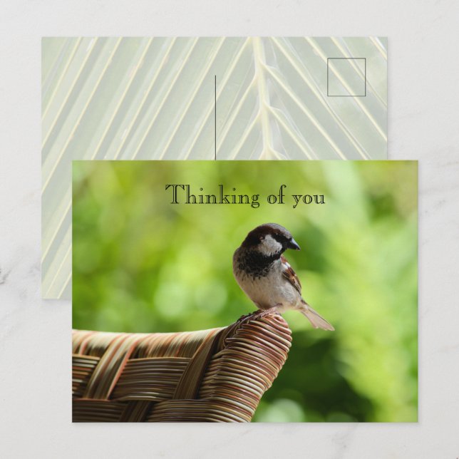 Cartão Postal Kauai Hawaii Bird A presidir Pensando em você (Frente/Verso)