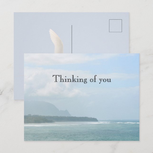 Cartão Postal Kauai Hawaii Kilauea Ocean Red Tailed Tropicbird (Frente/Verso)