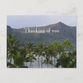 Cartão Postal Kauai Hawaii Lihue Palm Trees Kalapaki Beach