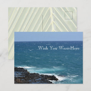 Cartão Postal Kauai Hawaii Ocean Spouing Horn