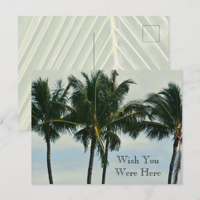 Cartão Postal Kauai Hawaii Tropical Palm Trees (Frente/Verso)