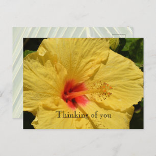 Cartão Postal Kauai Hawaii Yellow Hibiscus Flower