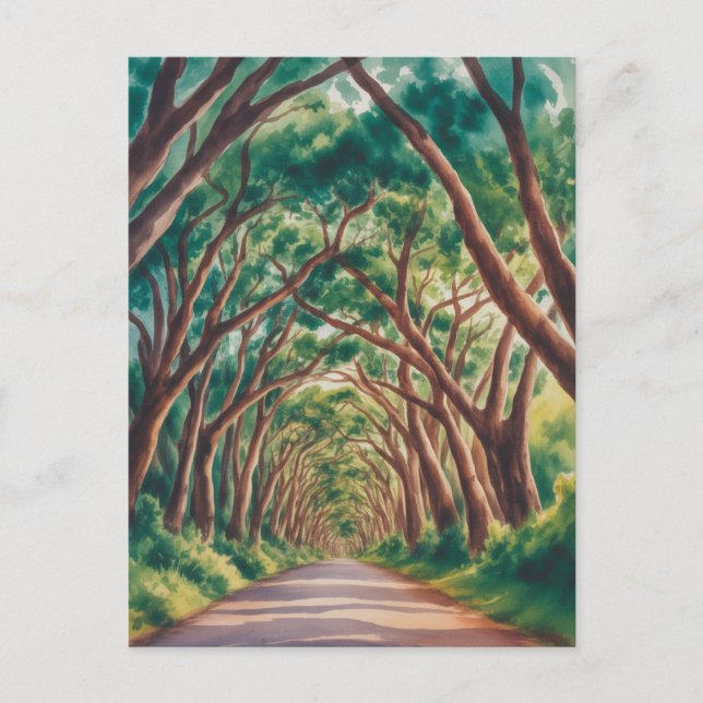 Cartão Postal Kauai Tree Tunnel watercolor (Frente)