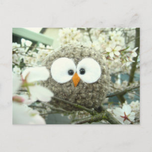 Cartão Postal Kawaii Oliver, a Coruja