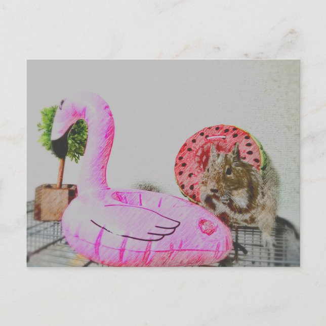 Cartão Postal Kawaii ♡ pequeno animal (Frente)