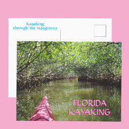 Cartão Postal Kayaking Through the Mangroves Florida Adventure