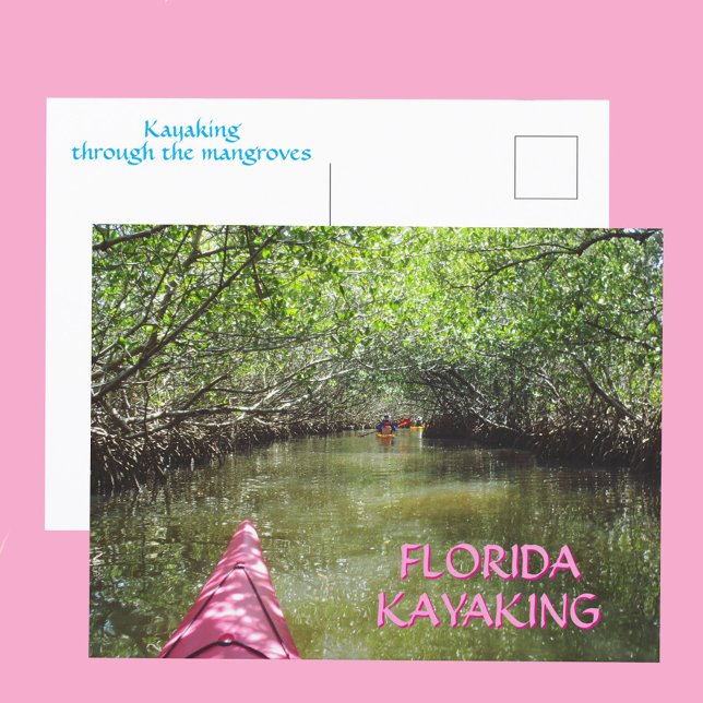 Cartão Postal Kayaking Through the Mangroves Florida Adventure (Criador carregado)