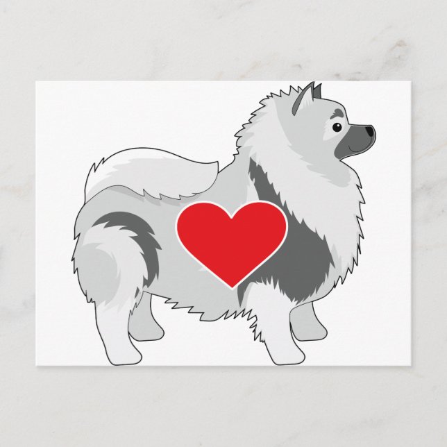 Cartão Postal Keeshond (Frente)