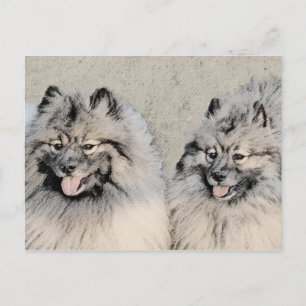 Cartão Postal Keeshond Brothers Painting - Arte Original de Cach