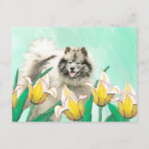 Cartão Postal Keeshond em Tulips pintando lindas artes caninas o
