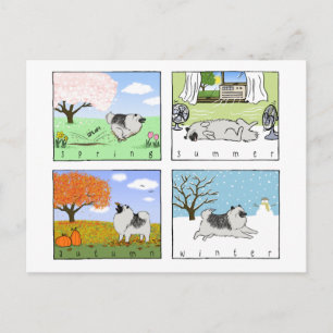 Cartão Postal Keeshond gosta das quatro montanhas - Arte de Cach