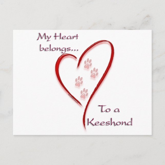 Cartão Postal Keeshond Heart Pertence (Frente)