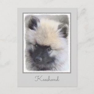 Cartão Postal Keeshond Puppy Painting - Arte de Cachorro Origina