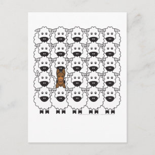 Cartão Postal Kelpie australiano em ovelha