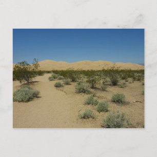 Cartão Postal Kelso Dunes no Parque Nacional de Mojave