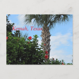 Cartão Postal Kemah, cartão-postal do Texas-Tropical
