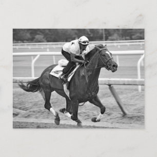 Cartão Postal Ken McPeek Workouts em Saratoga