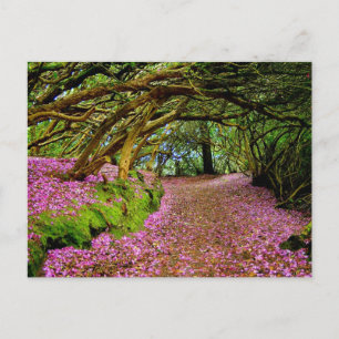 Cartão Postal Kenmare Fairy Road