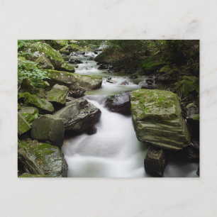 Cartão Postal Kenny Creek Falls