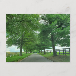 Cartão postal Kentucky Bluegrass