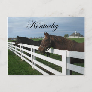 Cartão Postal Kentucky Bluegrass Country