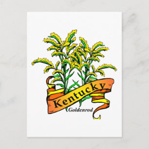 Cartão Postal Kentucky Goldenrod
